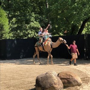 Meet your Posher, Angel